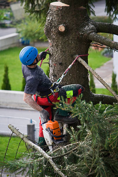 Mulching Services in Camden, AL